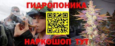 марки lsd Гусиноозёрск